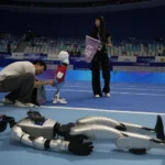Beijing Hosts World Humanoid Robot Games